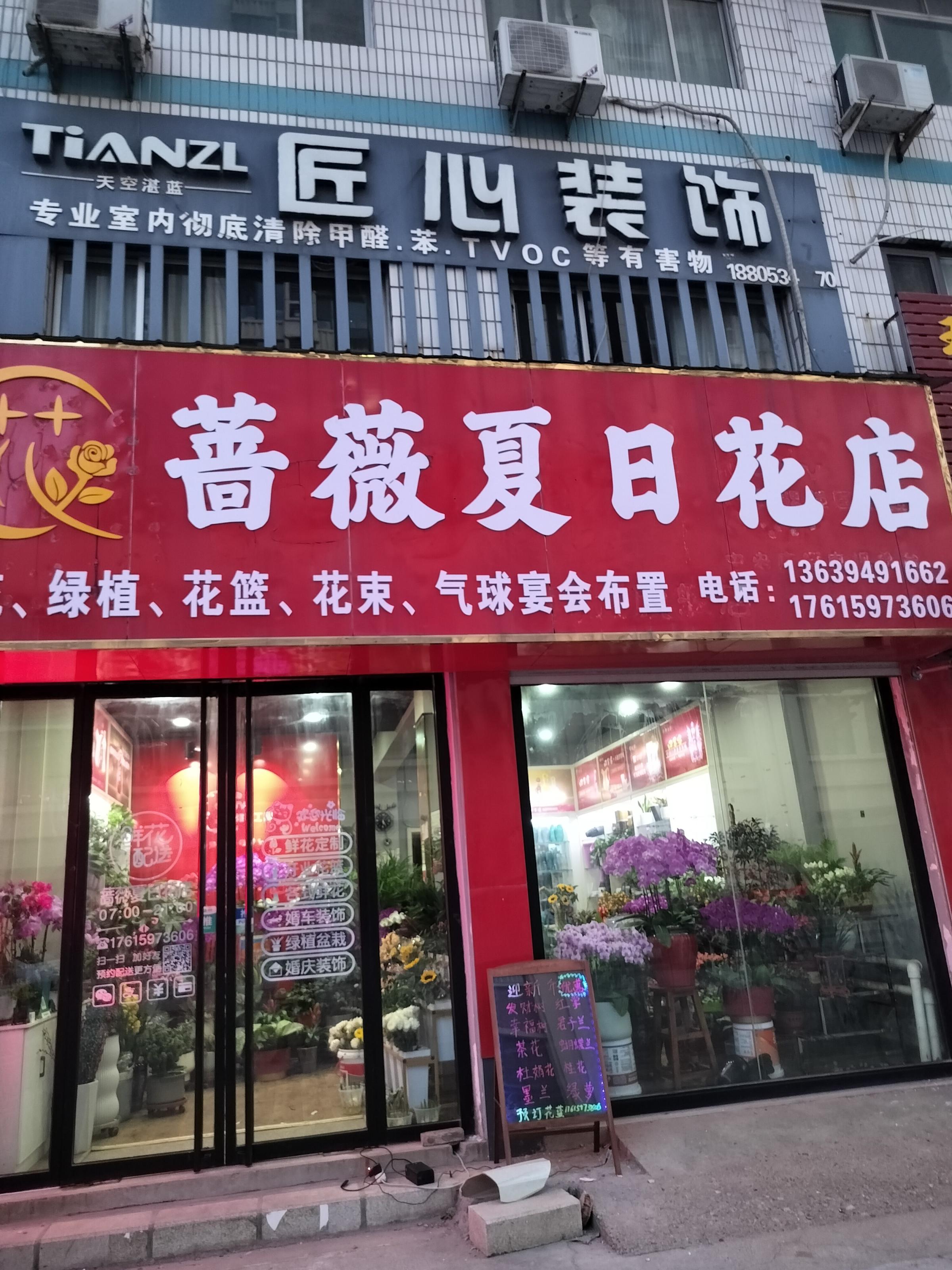 禹城市蔷薇夏日花店
